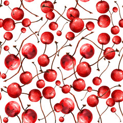 Pattern cherry watercolor.
Vintage drawing of red berries