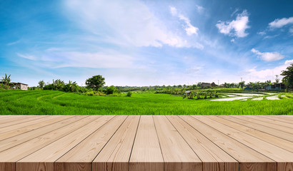 Wooden terrace with green rice field and blue sky in the morning