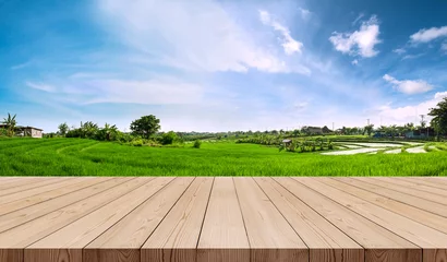 Deurstickers Wooden terrace with green rice field and blue sky in the morning © SasinParaksa