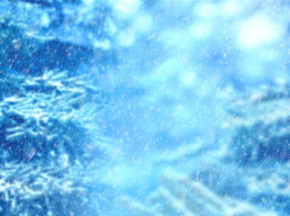 Winter background. Snow falling on pine branches. Winter season landscape .