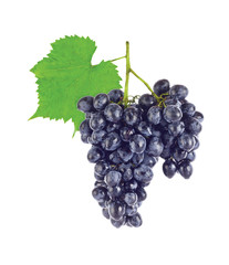Cluster fresh juicy organic grapes with green