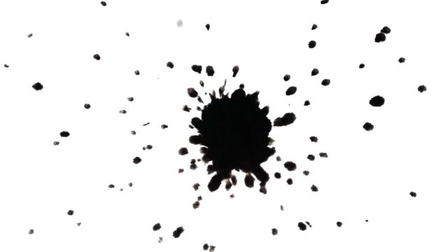 Dripping spreads black ink with splashing drops on white background close-up HD 1080. Abstract creative background. Black isolated drops on white background. Black drops dripping from spray to surface