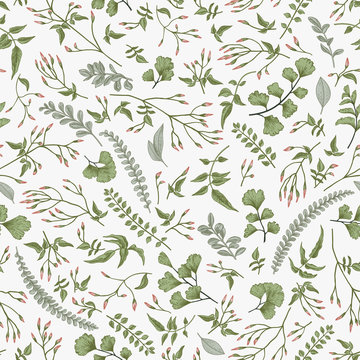 Seamless floral pattern. Leaves and herbs.