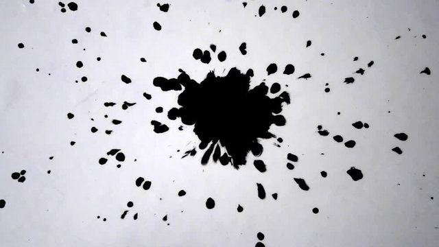 Dripping spreads black ink with splashing drops on white background close-up HD 1080. Abstract creative background. Black isolated drops on white background. Black drops dripping from spray to surface