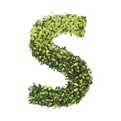 Alphabet of green leaves collection. Vector illustration.