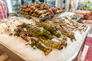 Lobster and many giant prawns lie on ice