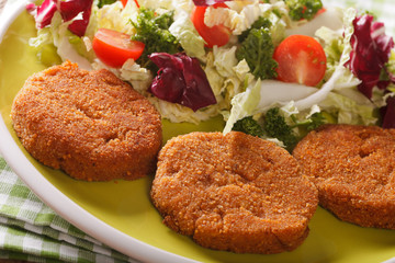 Carrot cutlets with fresh vegetable salad close-up. horizontal