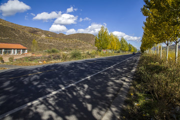 In autumn, highway landscape