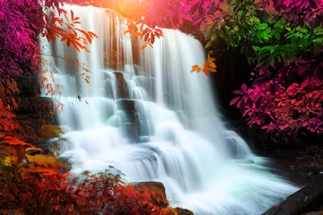 Foto op Aluminium beautiful waterfall in rain forest, Thailand © cakeio