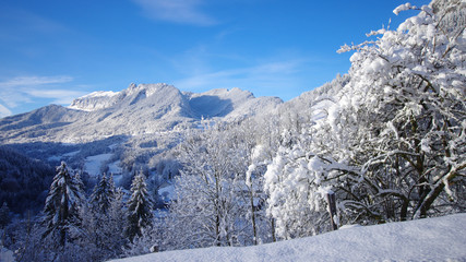 paysage hivernal - vallée des entremonts en chartreuse © minicel73