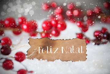 Fototapeta na wymiar Burnt Label, Snow, Snowflakes, Feliz Natal Means Merry Christmas