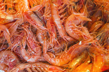 fresh shrimps on a fish market