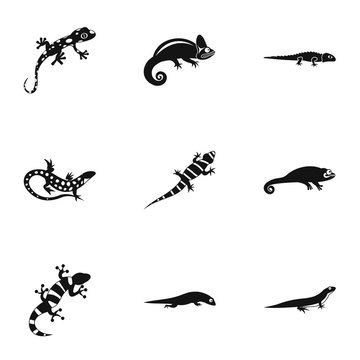 Iguana icons set. Simple illustration of 9 iguana vector icons for web