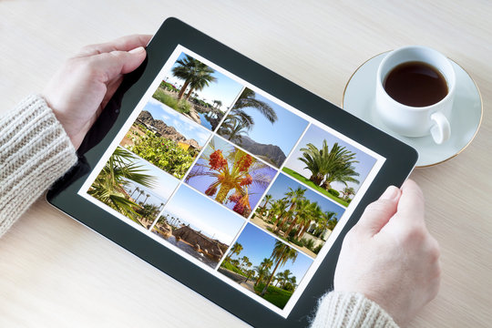 Woman holding tablet computer with pictures gallery, planning vacation, booking travel