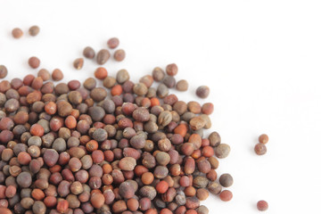 ブロッコリーの種