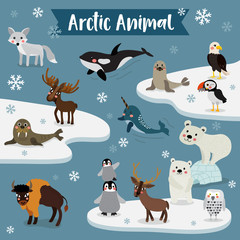 Arctic Animal cartoon. Penguin, Polar Bear, Reindeer. Walrus. Moose. Snowy Owl. Arctic Fox. Eagle. Killer whale. Bison. Seal. Puffin. Narwhal. Vector illustration. © natchapohn