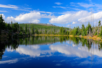 Mountain lake during summer day, devastated forest Bavarian Forest National Park. Beautiful landscape with blue sky and clouds, Germany. Tree reflection in the water.