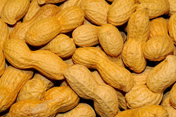 nuts background