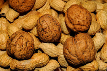 Background made from different kinds of nuts