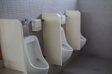 Group of white urinals in the restroom.