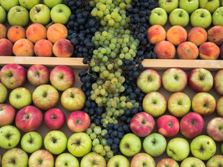 Background of fresh colourful fruits. Frame composition of fruits on market stall. Colourful fruits pattern close up. Green and red apples, orange peaches.