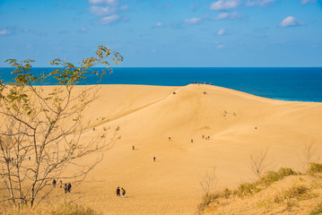 Fototapeta na wymiar Tottori sand dune in autumn, Japan