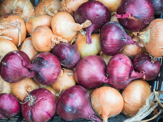 Background of yellow and red onion close up. Yellow and red onion pattern on sale at the market.