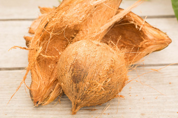 Coconut, Coconut shell. The coconut tree is a member of the family Arecaceae and the only species of the genus Cocos. The term coconut can refer to the entire coconut palm or the seed, or the fruit.