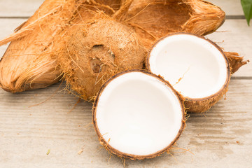 Coconut, Coconut shell. The coconut tree is a member of the family Arecaceae and the only species of the genus Cocos. The term coconut can refer to the entire coconut palm or the seed, or the fruit.