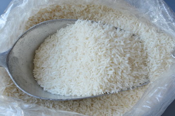 Thai jasmine rice paddy on iron scoop in plastic bag