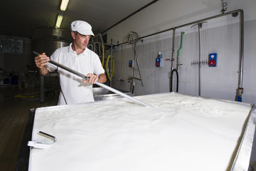 Cheese maker mixing the milk in a large stainless steel tanks