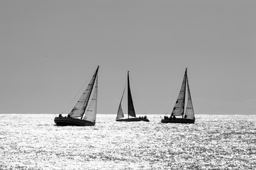 Fototapeta premium boat race on sea sunset in black and white