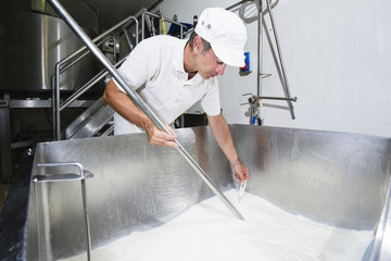 Cheesemaker measuring temperature with thermometer in a large steel tank full of milk