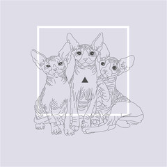 Three thin line cats with geometric Shapes