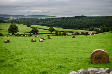 Obraz premium Bakewell in Peak District National Park