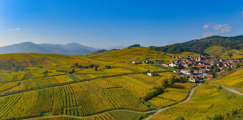 Niedermorschwih, Alsatian vineyards, Alsace, France, Europe, Autumn, Mountain,