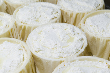 Cheesemaker preparing fresh cheese to divide it into several pieces and forms