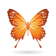 Colorful Butterfly Illustration