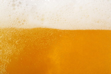 ビール　イメージ　Beer image