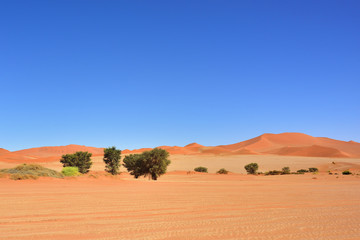 Sossusvlei, Namib Naukluft National Park, Namibia