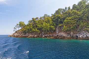 Fototapeta premium Green island