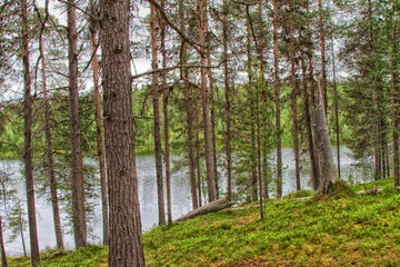 Landscape northern FInland