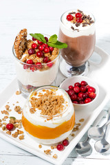 desserts with pumpkin, chocolate and biscuits on white tray