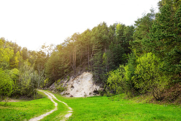 Obraz premium Forest road with rise up on a bright Sunny day