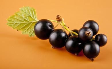 currants