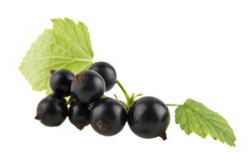 black currants