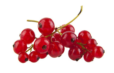 currant berries