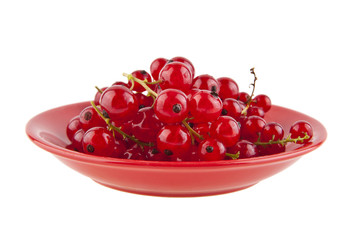 red currant in a bowl