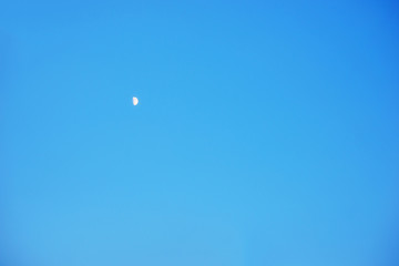 Moon on the evening sky. Nature composition.