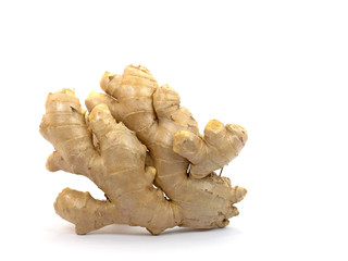 Ingwer, Zingiber officinale